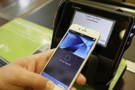 Apple Pay֧гʲô