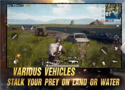 PUBG